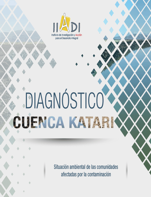 Diagnostico-Cuenca-Katari