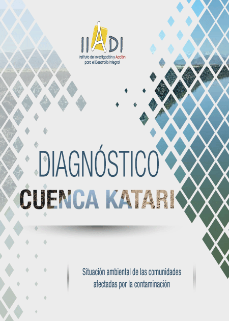 Diagnostico-Cuenca-Katari2
